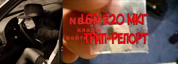 стаф Абаза