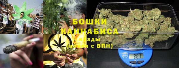 стаф Абаза