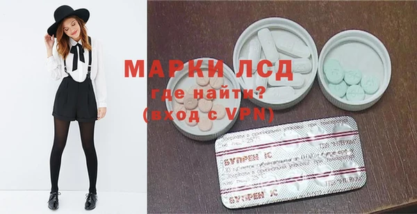 сатива Абинск