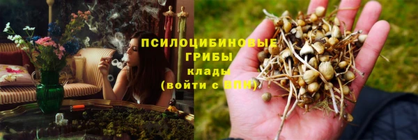 дживик Алексин