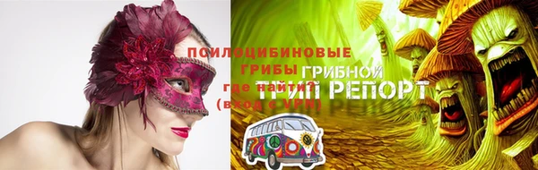 стаф Абаза